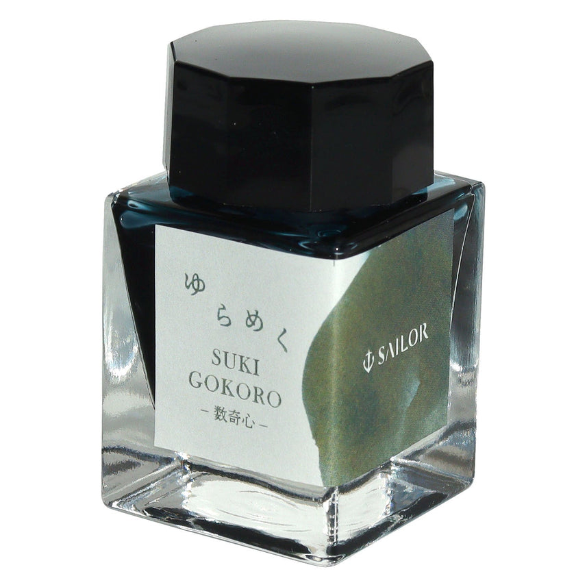 Bottled ink for fountain pens, shimmering ink, dye, 20ml