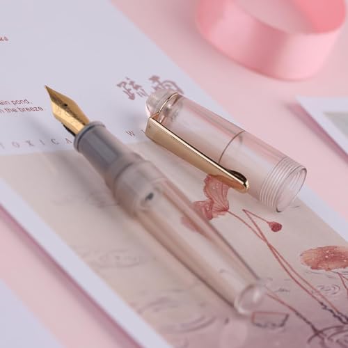 Moonman Q2 Mini Fountain Pen Eyedropper Filling, Fine Nib Transparent Grey Acrylic Pen with Eyedropper and Pen Case