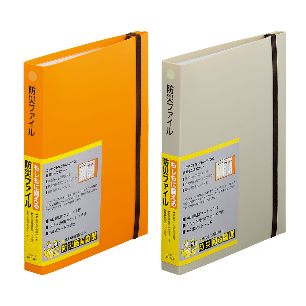 Disaster Prevention File