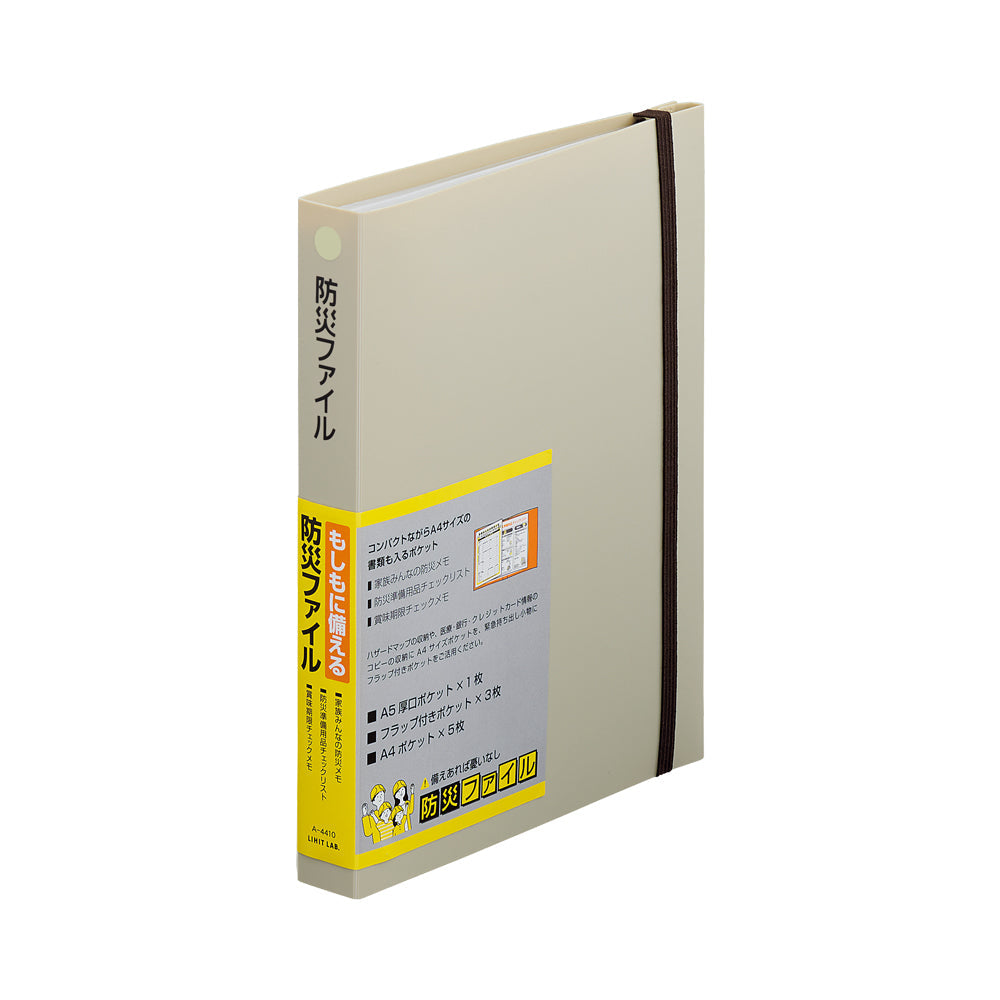 Disaster Prevention File