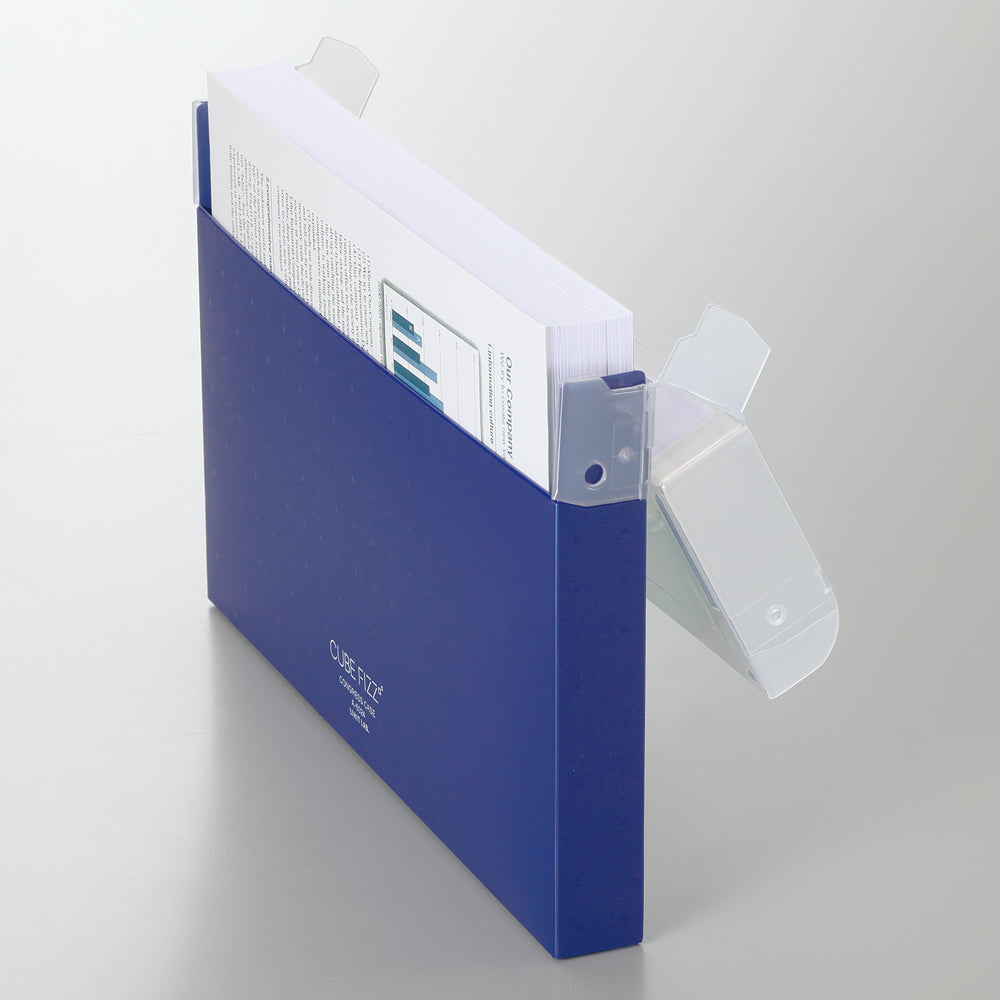 CUBE FIZZ Congress Case