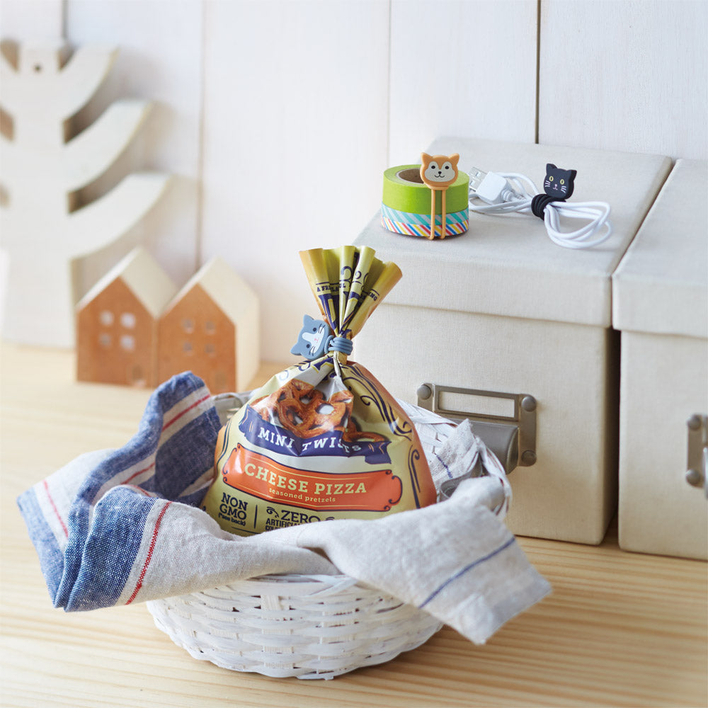 SMART FIT PuniLabo Magnetic Bands (2-Pack)