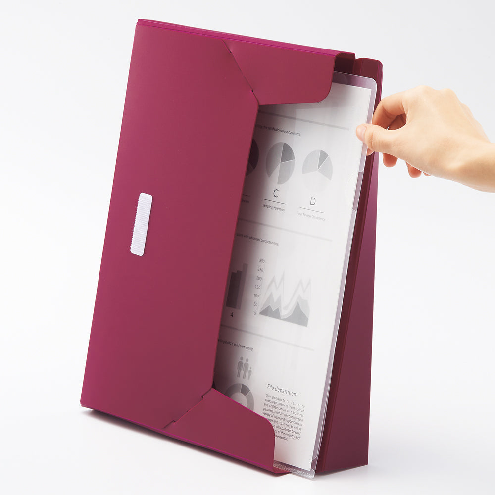 ALTNA Stand Case Slim