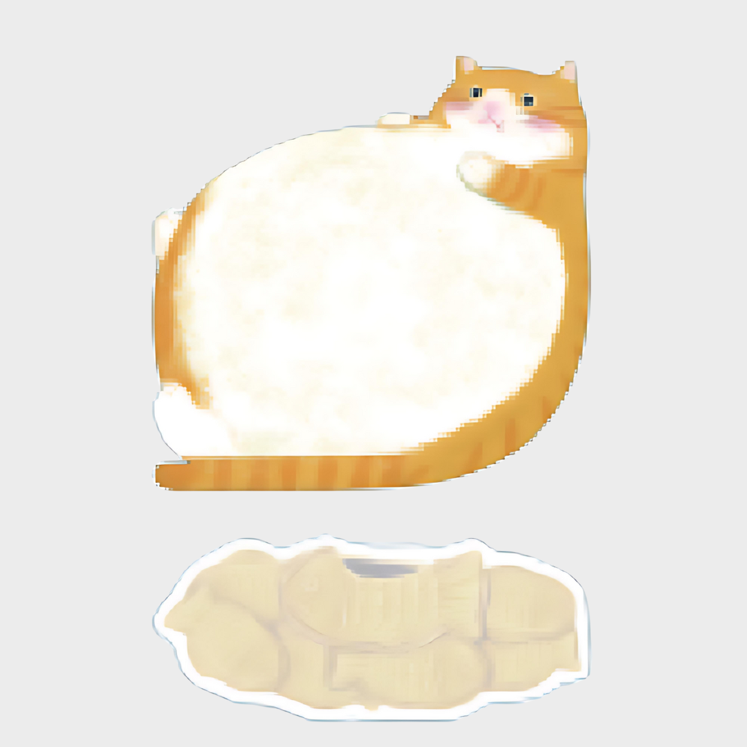 color-Brown-and-White-Cat