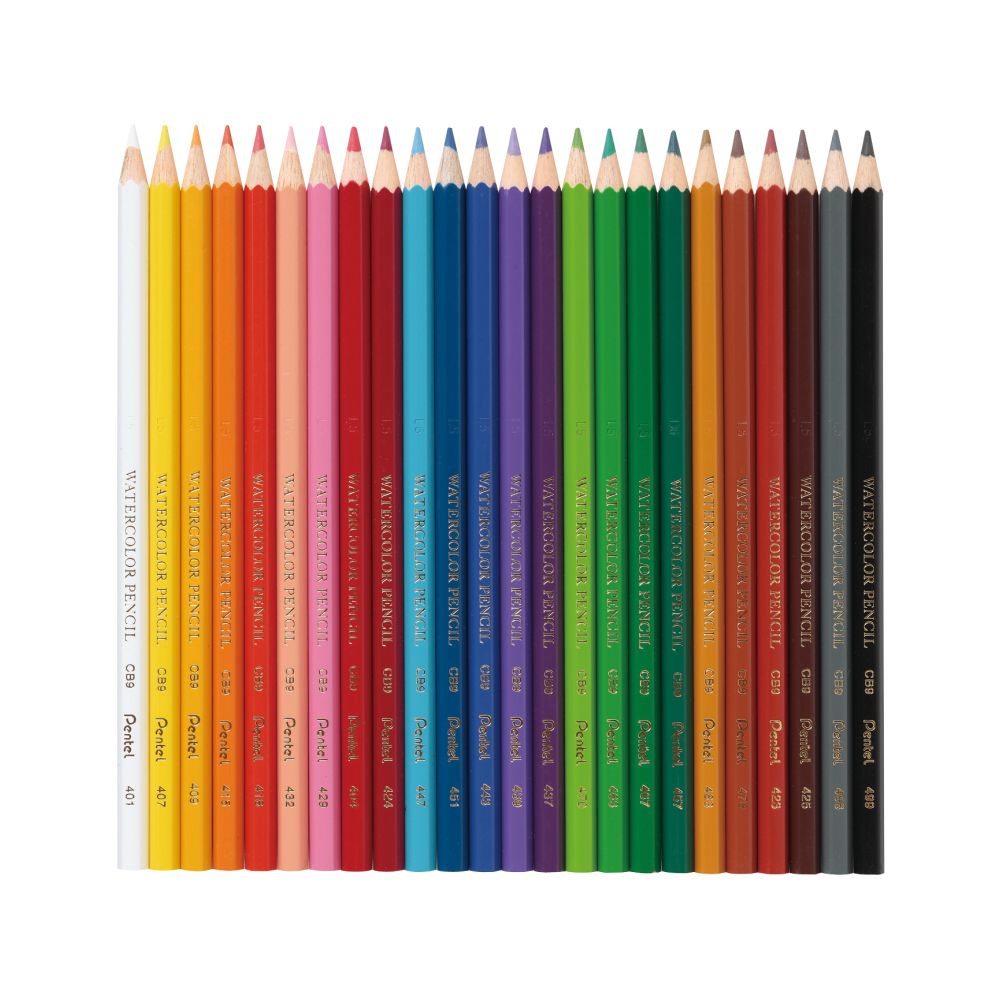 WATER COLOUR PENCILS - 24 COLOUR SET
