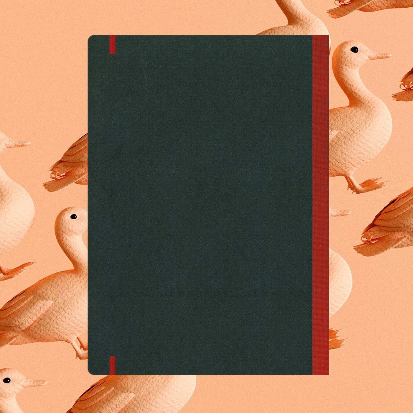 Flexbook | Blank | Large A4 Size Sketchbook | Red | Flex Global Sketchbook