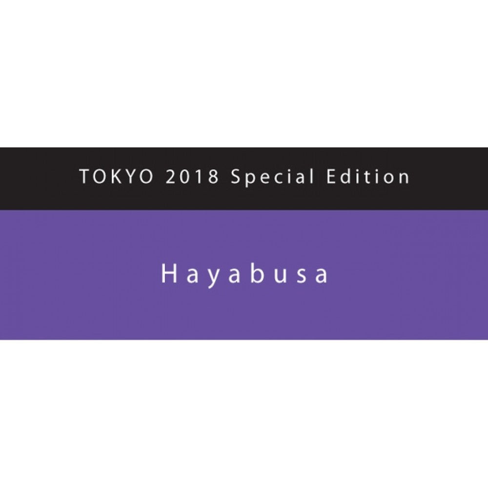 Colorverse | Hayabusa | Fountain Pen Ink | Special Edition | Purple | 65ml and 15ml | 2 Bottle Set - penpencilink