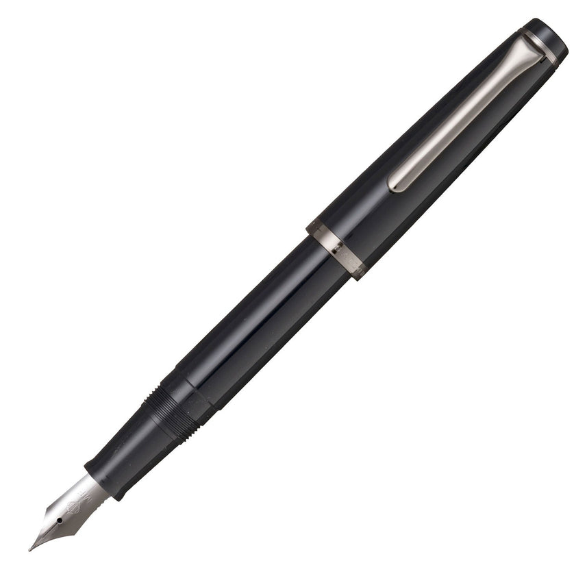 Lecle fountain pen