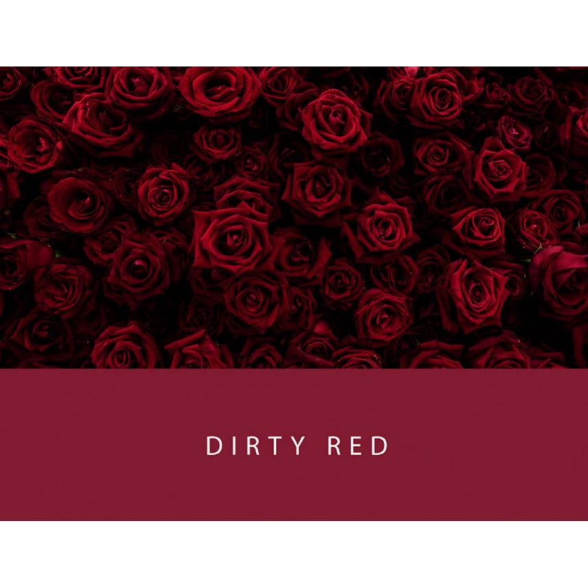 Colorverse | Project Series | Fountain Pen Ink | Dirty Red | 65ml - penpencilink