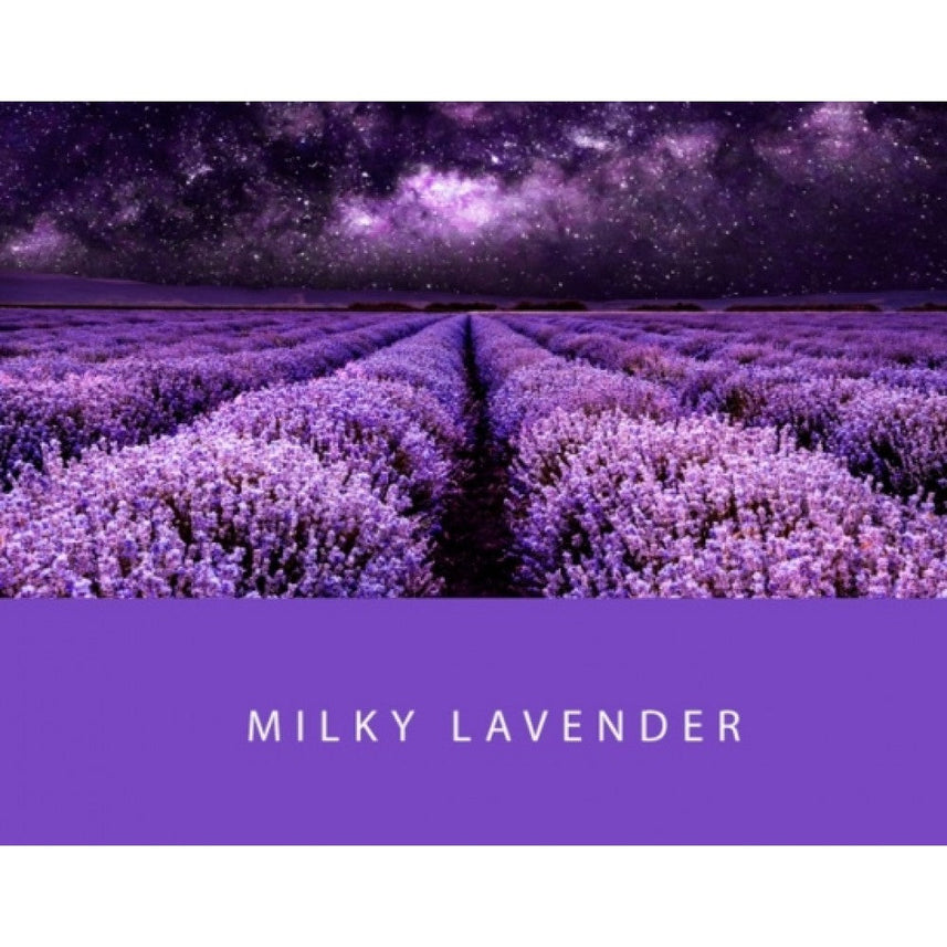 Colorverse | Project Series | Fountain Pen Ink | Milky Lavender | 65ml - penpencilink