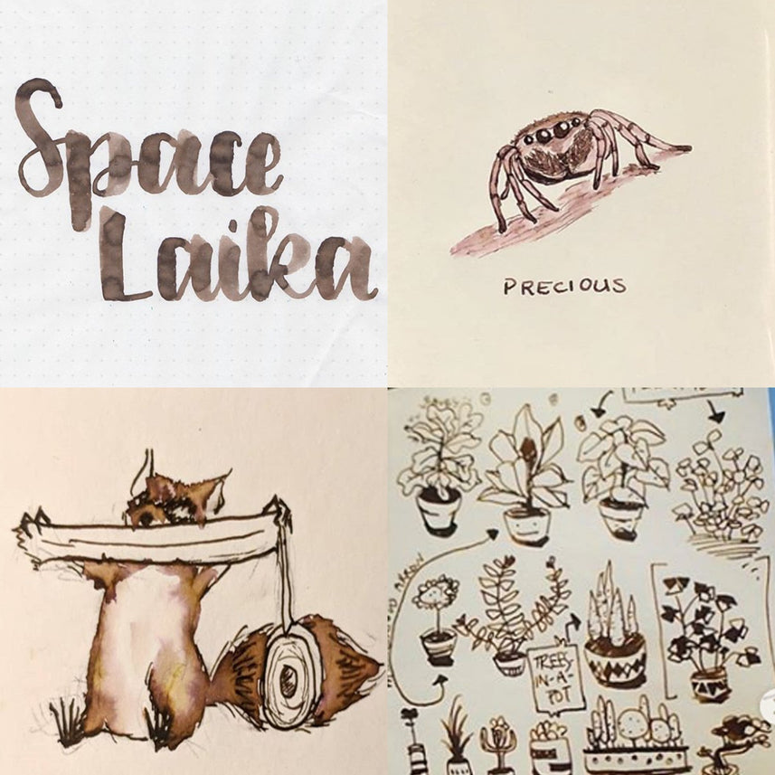 Colorverse Fountain Pen Ink | Spaceward Series | Space Laika | Dark Brown | 65ml & 15ml | 2 Bottle Set