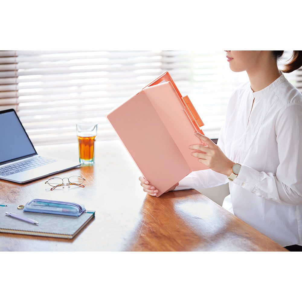 EMILy SLIM FILE CASE