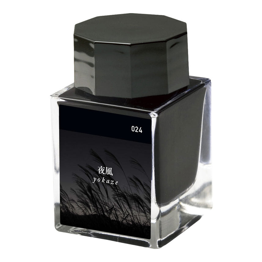 Ebonite engraved fountain pen