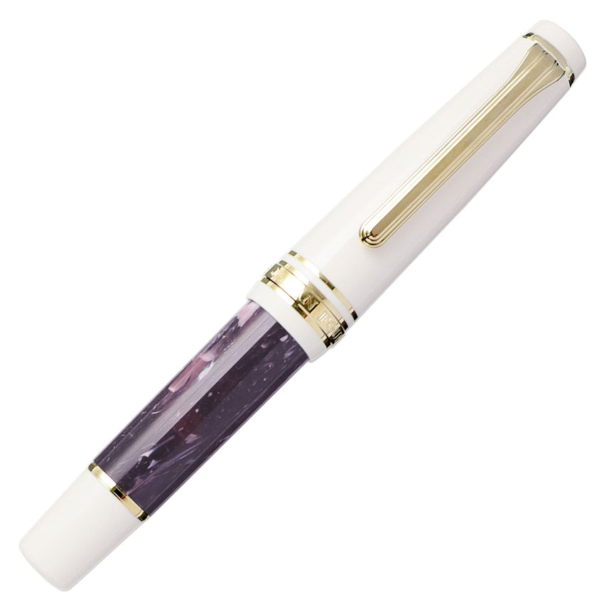 Rencontre fountain pen