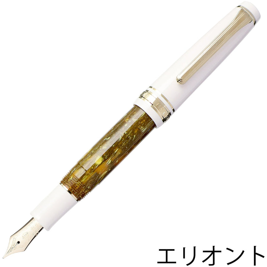 Rencontre fountain pen