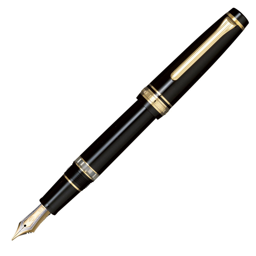 Professional Gear Realo Fountain Pen