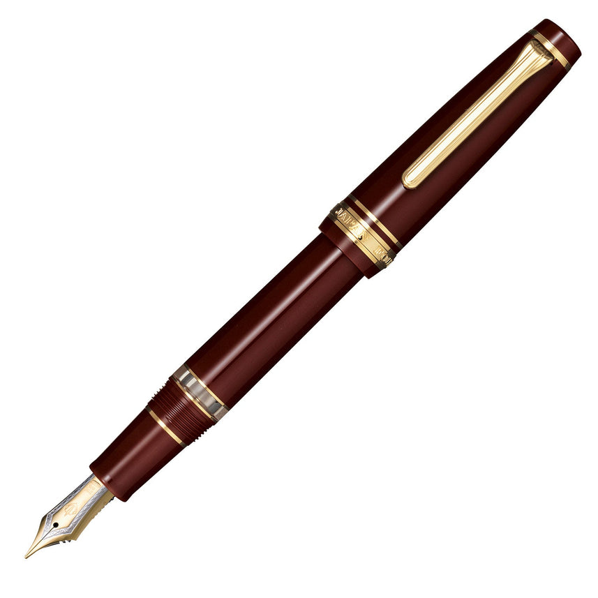 Professional Gear Realo Fountain Pen