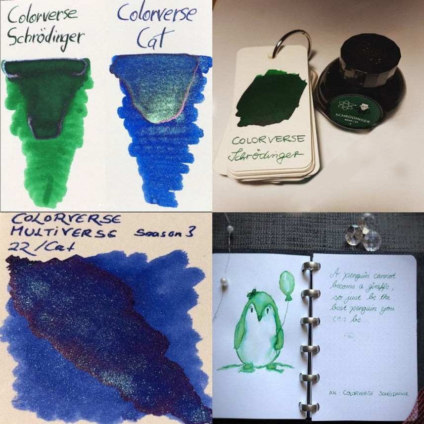 Colorverse | Multiverse Series | Season 3 | Fountain Pen Ink | Schrodinger | Green | 65ml and 15ml | 2 Bottle Set - penpencilink