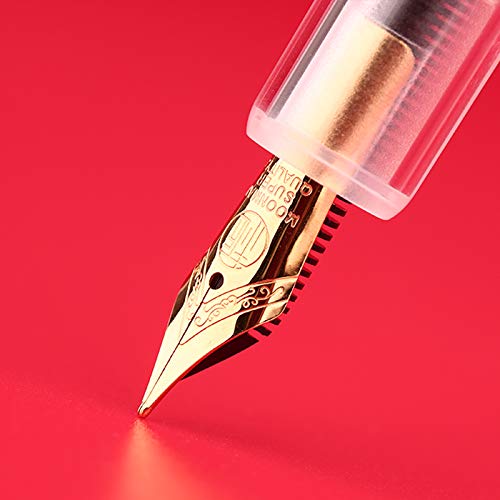 Moonman M2 Acrylic Clear Transparent Eyedropper filled Fountain Pens