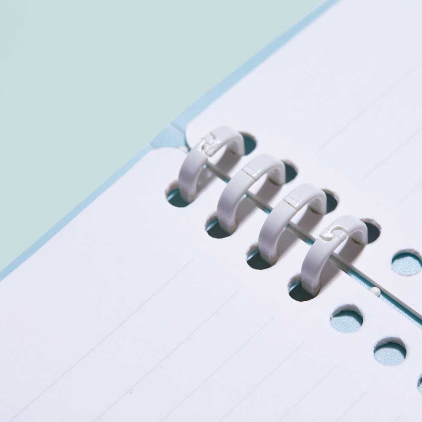 COLOR SELECTION TEFRENU