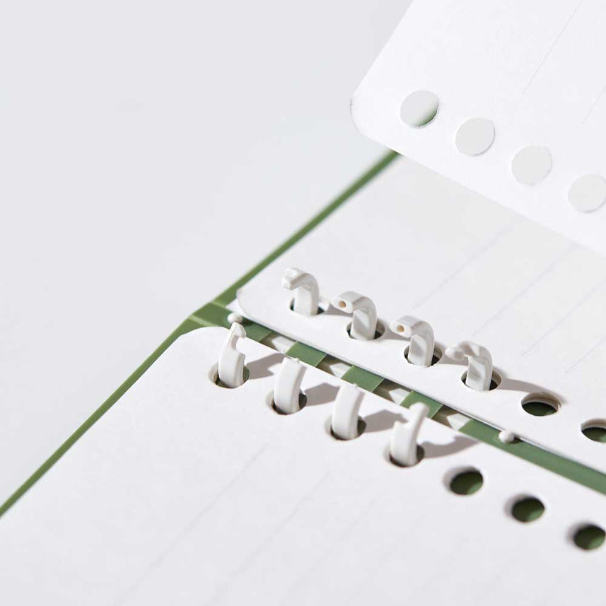 COLOR SELECTION TEFRENU