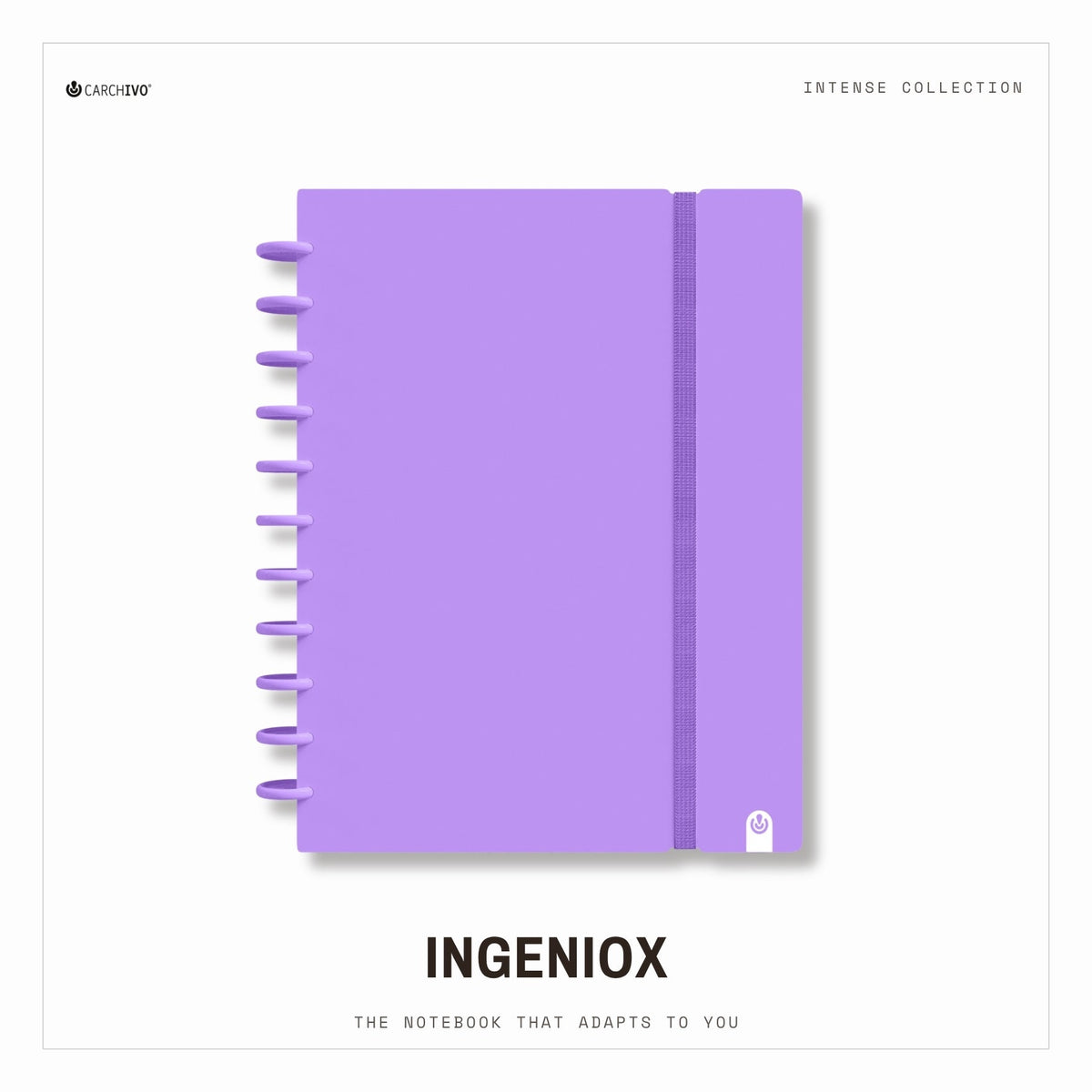 Carchivo Ingeniox A4 Gridded Notebook Intense - Violet