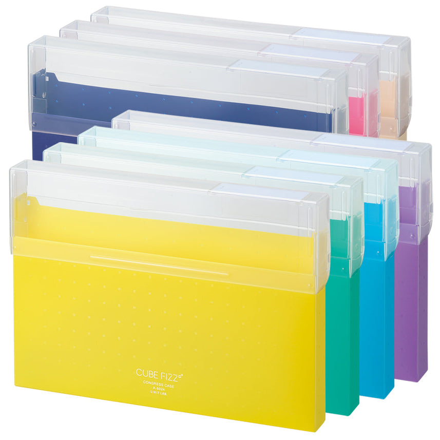 CUBE FIZZ Congress Case