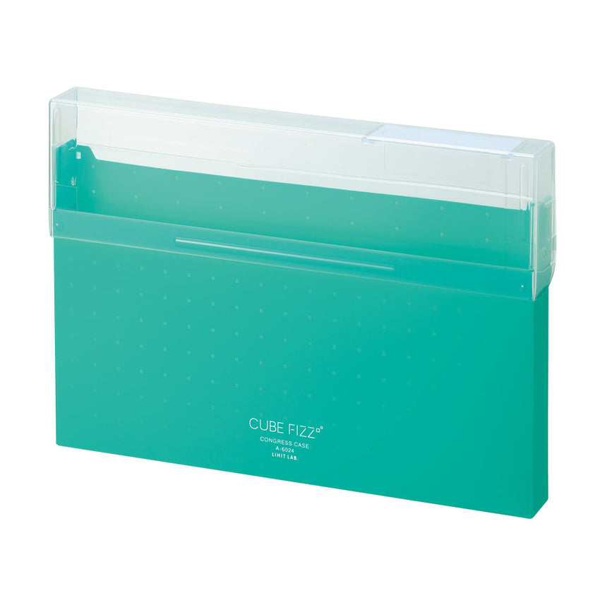 CUBE FIZZ Congress Case