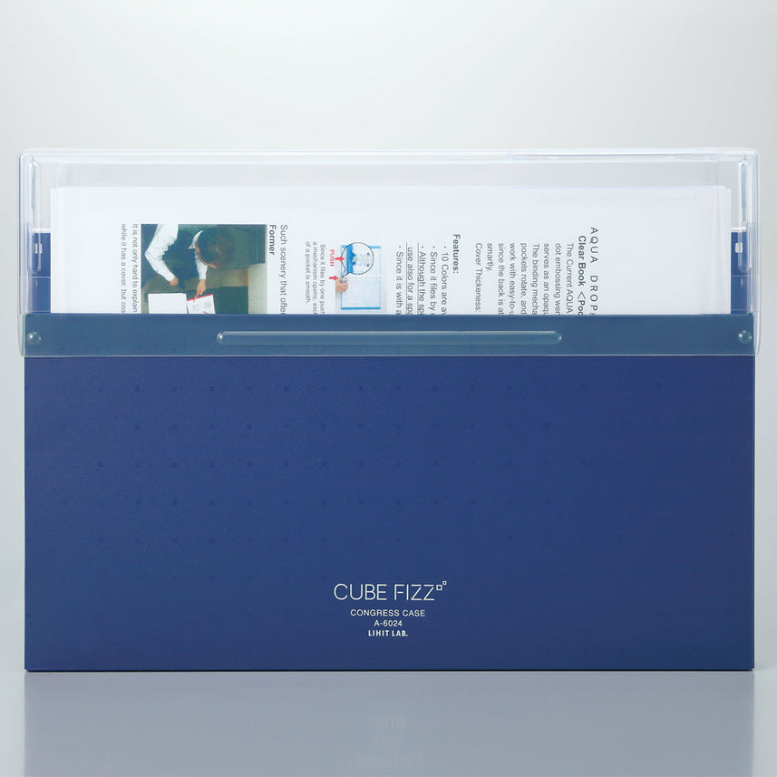 CUBE FIZZ Congress Case