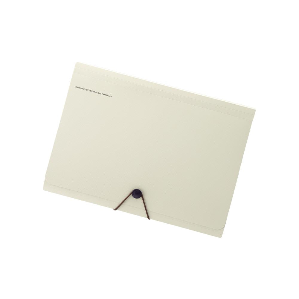 SMART FIT Carrying Document