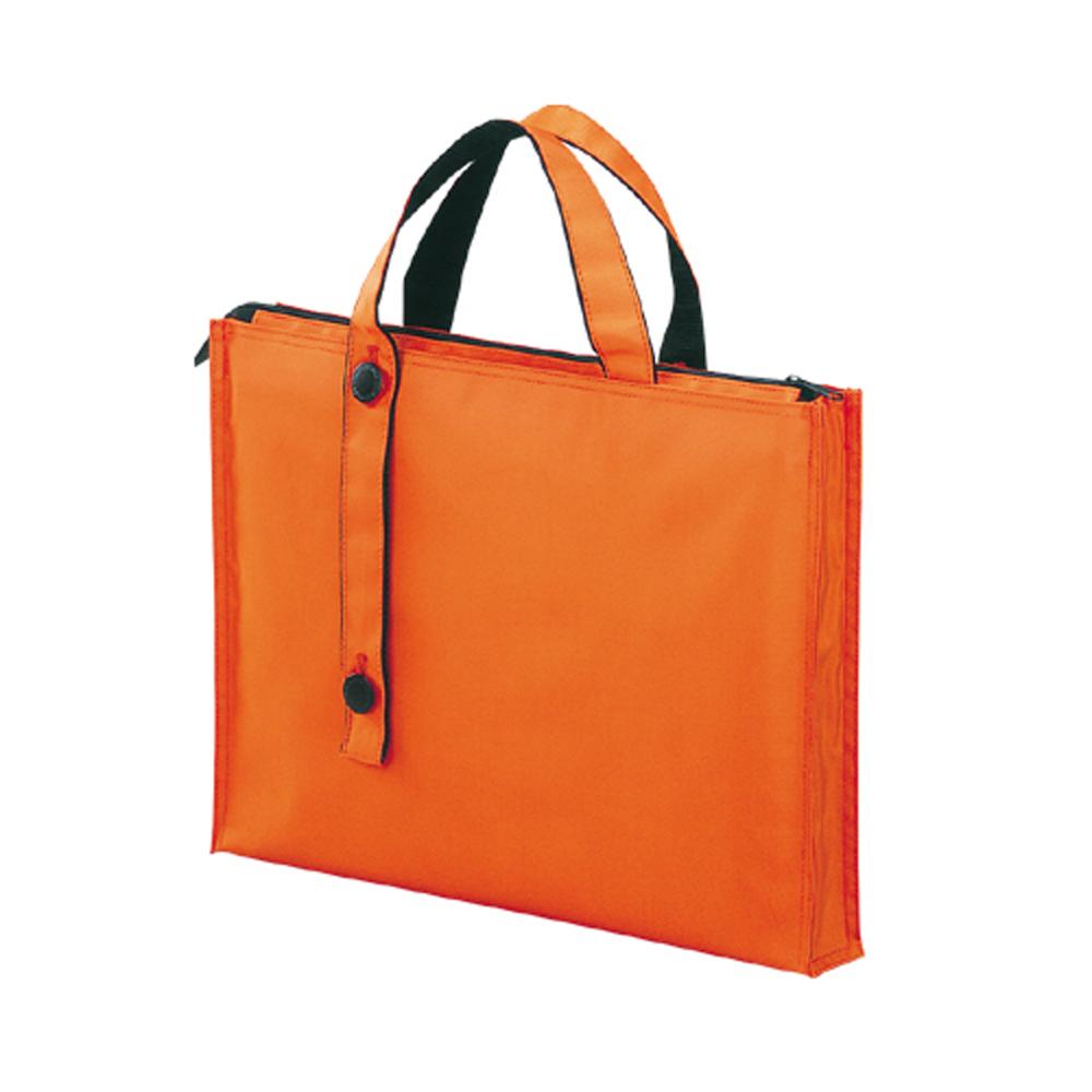 Carrying bag [2-way type] Standard