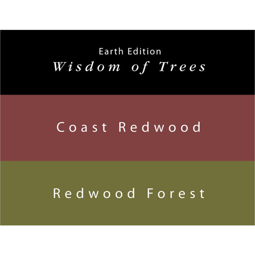 Colorverse | Earth Edition | Coast Redwood (Brown) - Redwood Forest (Dark Green) | Fountain Pen Ink | 65ml and 15ml | 2 Bottle Set - penpencilink