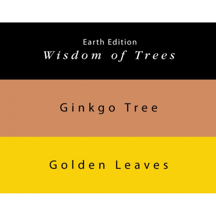 Colorverse | Earth Edition | Ginkgo Tree Light Brown | Golden Leaves Yellow | Fountain Pen Ink | 65ml and 15ml | 2 Bottle Set - penpencilink