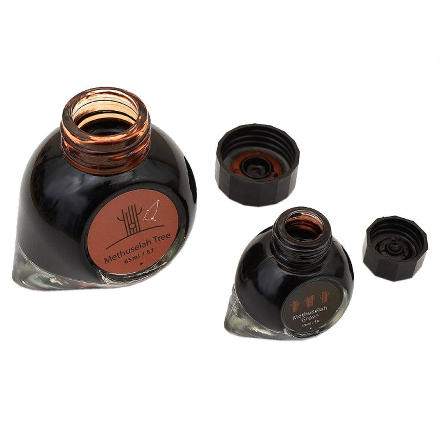Colorverse Ink | Methuselah Tree | Light Brown | Earth Edition | 65ml & 15ml Set - penpencilink