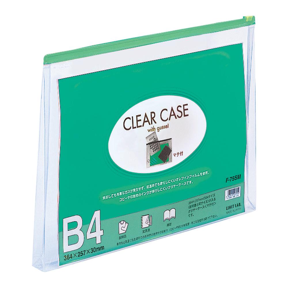 Clear case (with gusset) B4