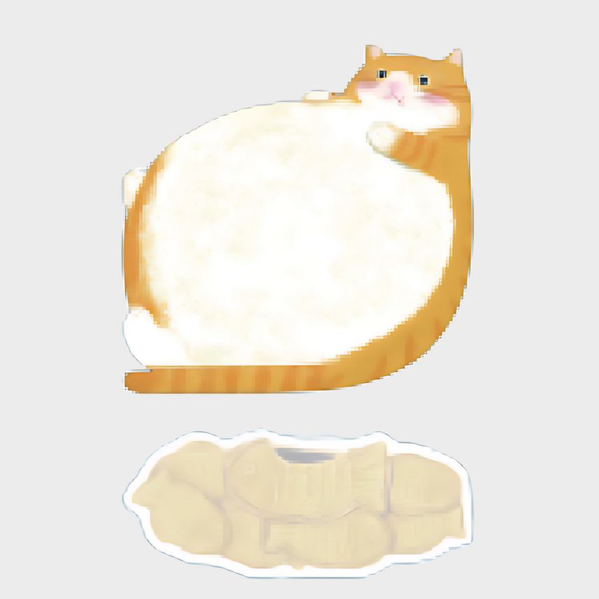 color-Brown-and-White-Cat