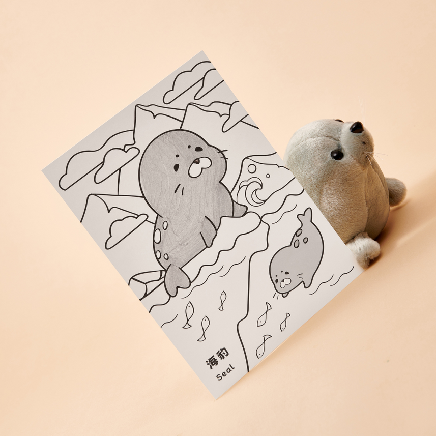 Kaco | Color Filling Card | Kalor | B5