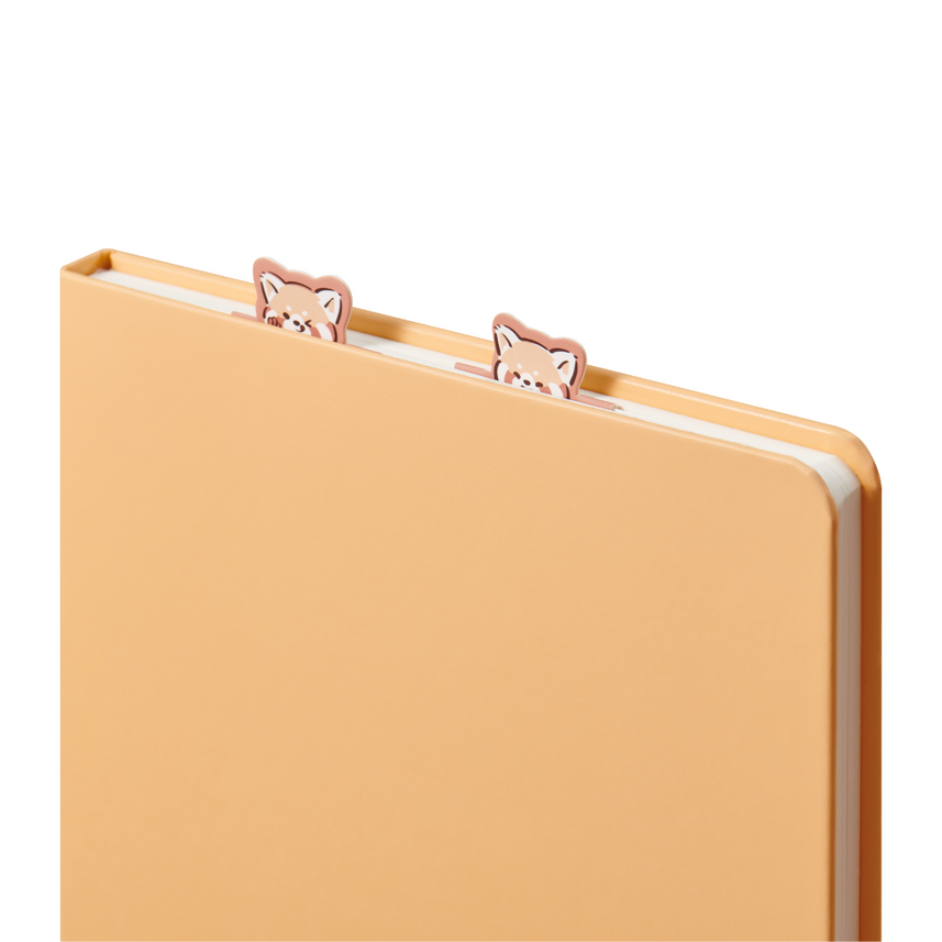 Kaco | Fountain Pen | Combo Set | Panda