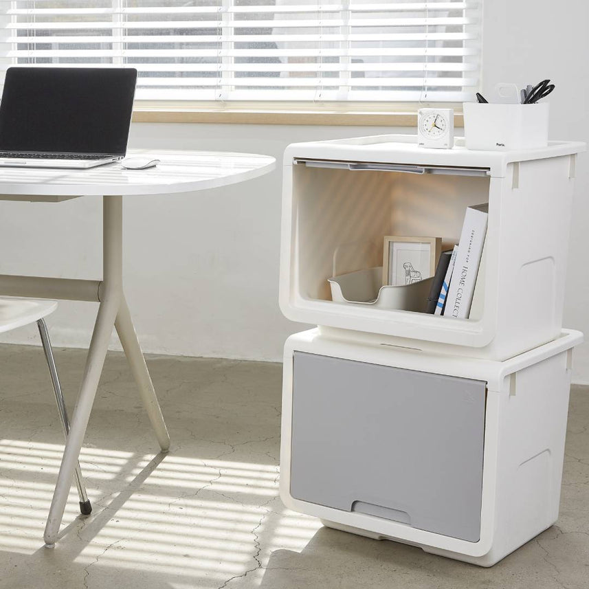 Litem | Multi Utility Storage  Box |Organizer  | Mint | Roomax Cube Plus | For Office & Home