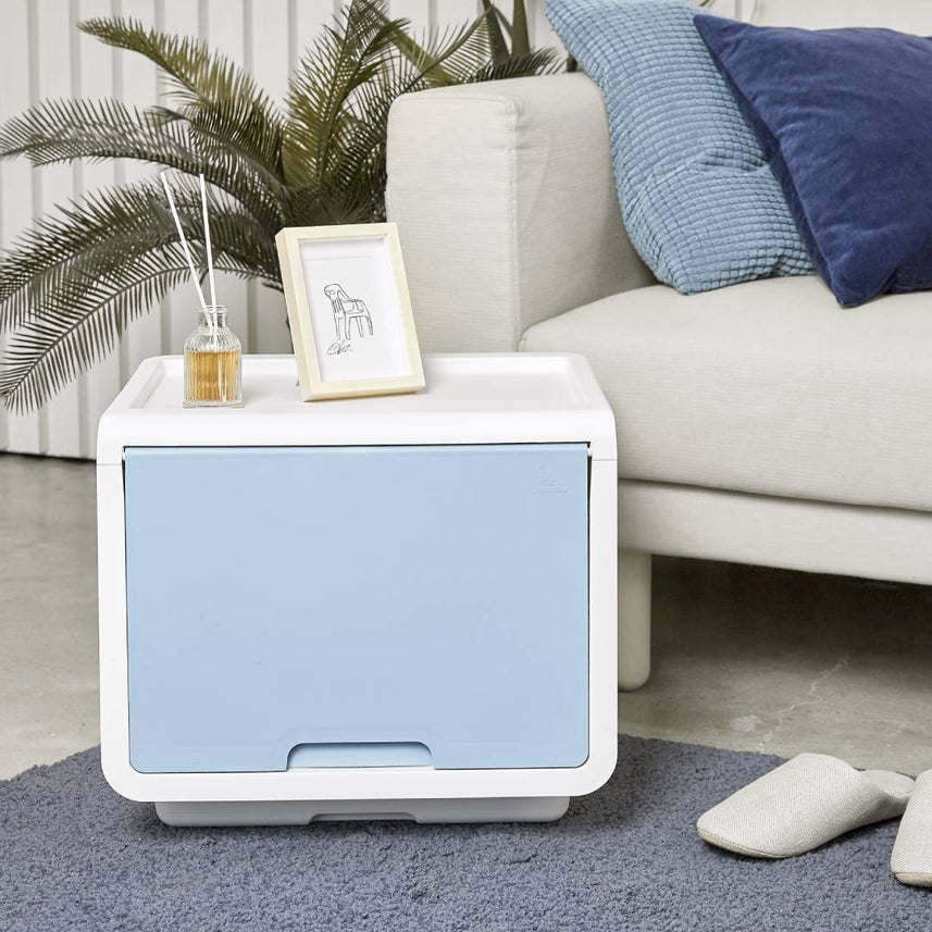 Litem | Multi Utility Storage  Box |Organizer  | Ivory | Roomax Cube Plus | For Office & Home