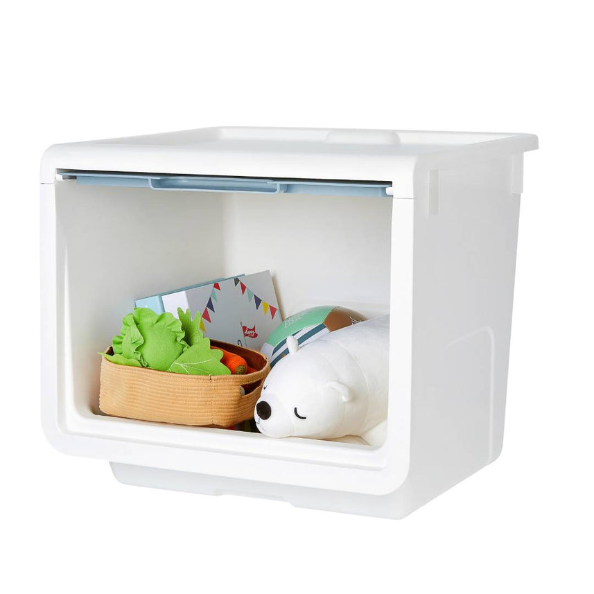 Litem | Multi Utility Storage  Box |Organizer  | Mint | Roomax Cube Plus | For Office & Home