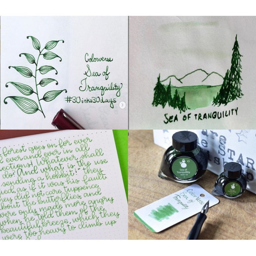 Colorverse Ink | Spaceward Series | Sea Of Tranquility | Green | 65ml & 15ml | 2 Bottle Set - penpencilink