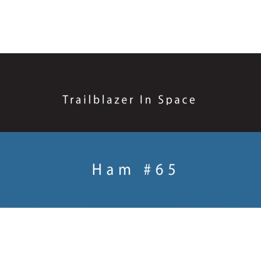 Colorverse Ink | Trailblazer In Space | HAM 65 | Dark Blue | 65ml & 15ml | 2 Bottle Set - penpencilink