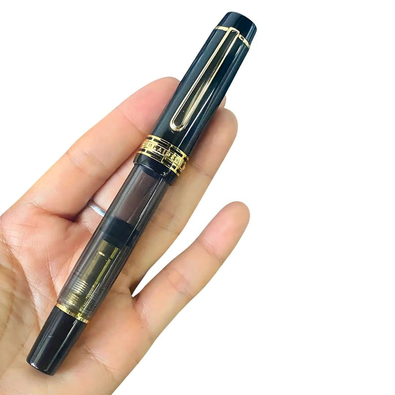 Wingsung 630 Piston Fountain Pen – Flat Top Transparent Barrel, #8 Iridium Fine Nib Resin Pen (Black, Sky Blue, Red)