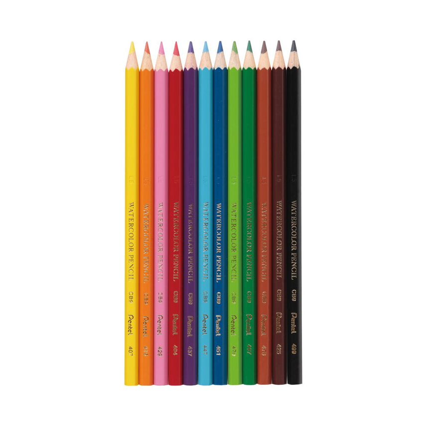 WATER COLOUR PENCILS - 12 COLOUR SET