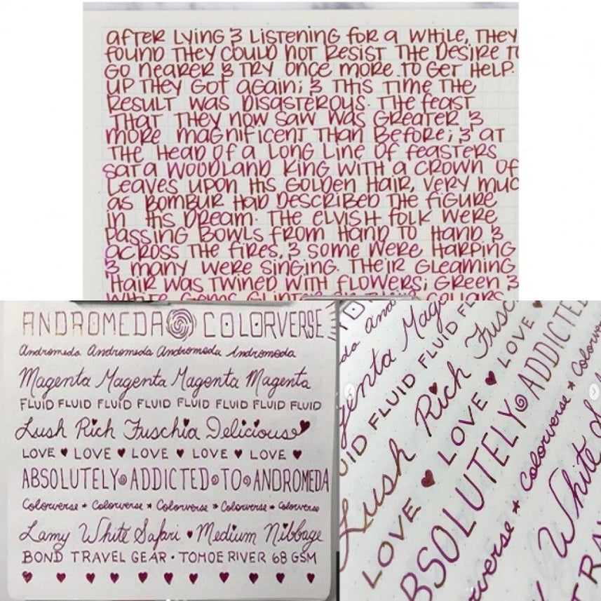 Colorverse | Astrophysics Series | Season 2 | Fountain Pen Ink | Andromeda | Purple | 65ml and 15ml | 2 Bottle Set - penpencilink