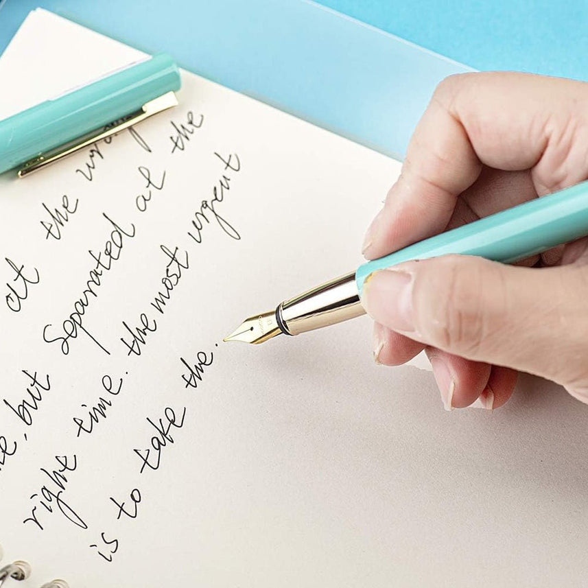 Brio Fountain Pen Set - INDOFUTURE - BU00030015 - Fountain Pen