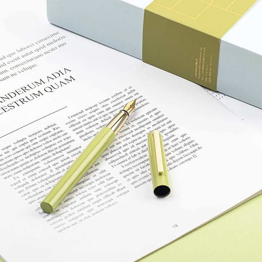 Brio Fountain Pen Set - INDOFUTURE - BU00030016 - Fountain Pen