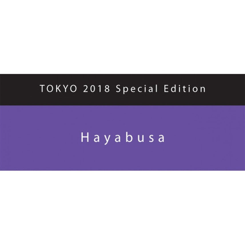 Colorverse Hayabusa Special Edition Fountain Pen Ink – 65ml & 15ml Set