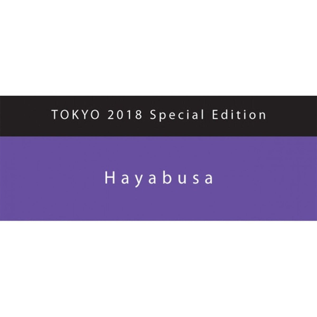 Colorverse Hayabusa Special Edition Fountain Pen Ink – 65ml & 15ml Set